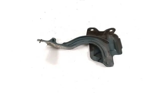 KIA Niro Engine bonnet/hood hinges 66910AT000