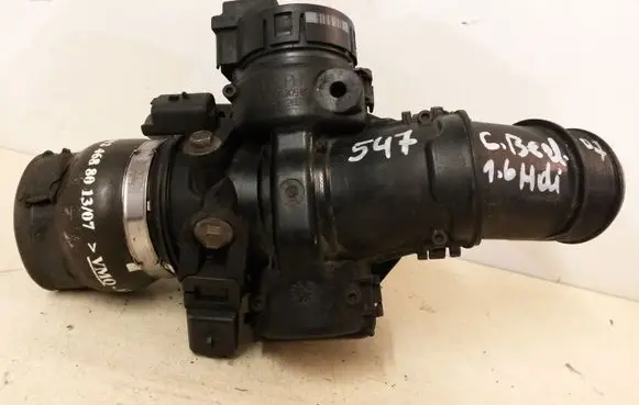 Citroen Berlingo Throttle valve 9660030580 25365286