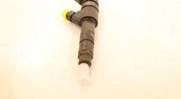 Fiat Ducato Fuel injector 0445120002