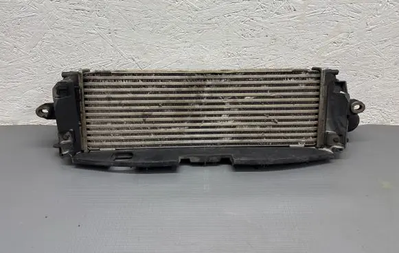 Opel Vivaro Intercooler radiator 8200411160C 988650B 93854162