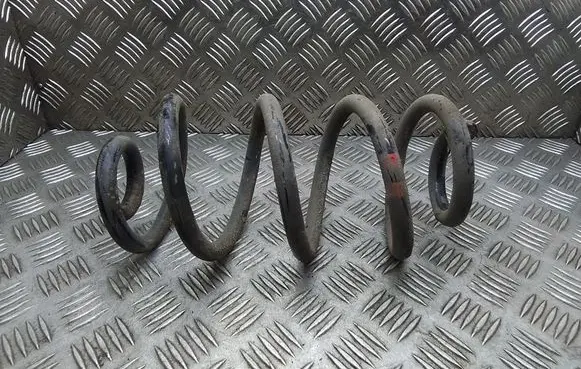 Rear coil spring