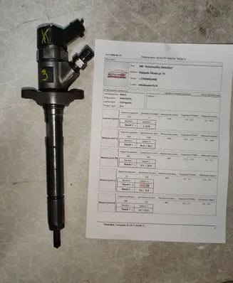Volvo V50 Fuel injector 0445110259