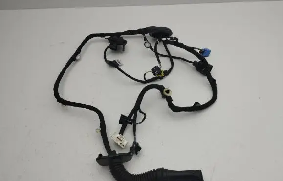 Front door wiring loom