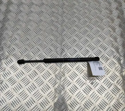 BMW X5 F15 Front bonnet/hood damper/strut 7308065