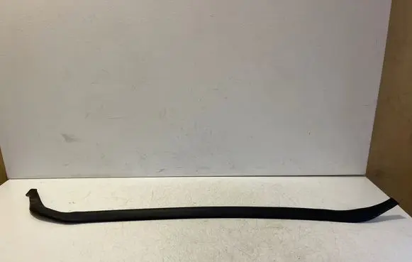 Tesla Model S Rear door rubber seal (on body)