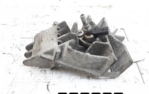 Renault Megane III Fuel injector H8200769153