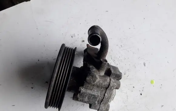 KIA Carnival Power steering pump