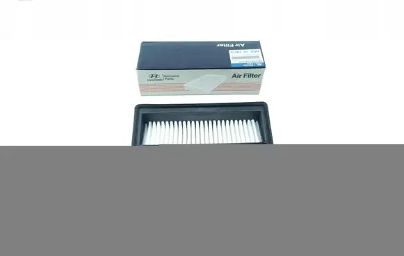 Hyundai i10 Air filter 28113-0X200