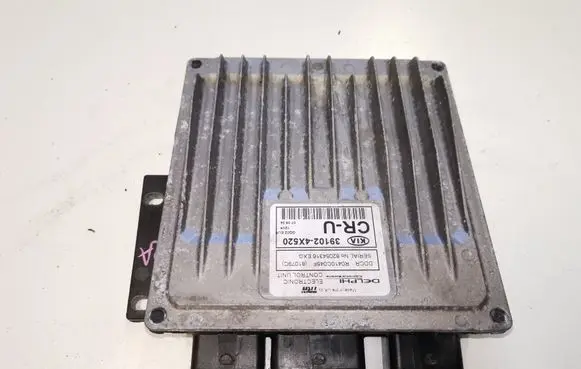 KIA Carnival Engine control unit/module 391024X520