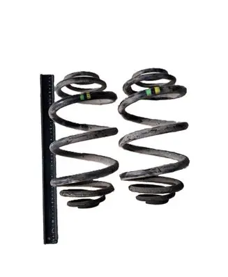 Rear coil spring