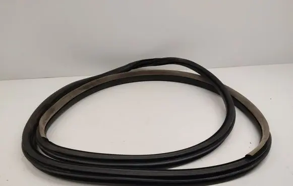 Renault Latitude (L70) Front door rubber seal 
