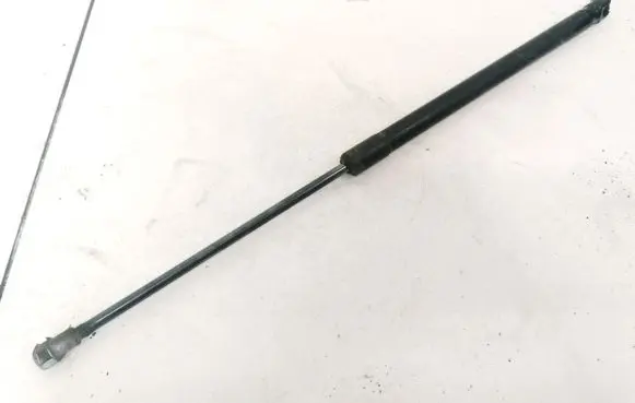 Tailgate/trunk strut/damper