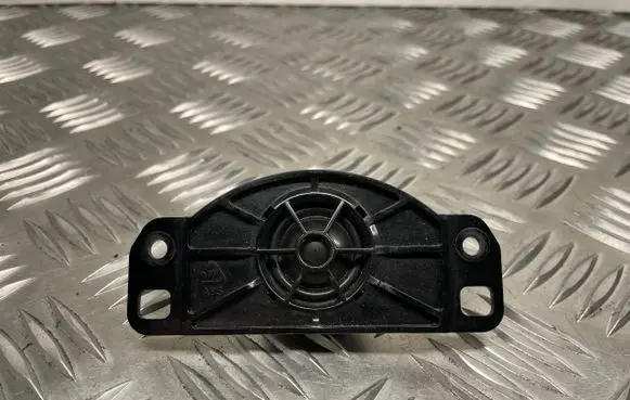 Panel speaker