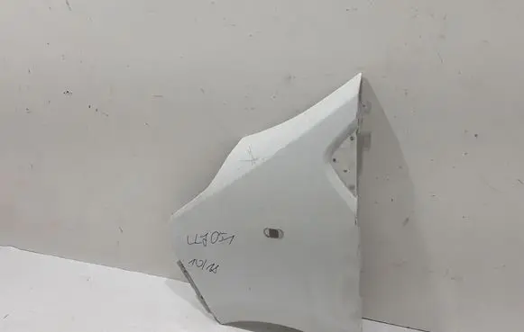 Renault Trafic III (X82) Fender 631014989R