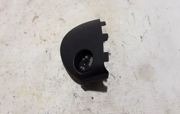 Mini Cooper Countryman R60 Panel trim 9803254