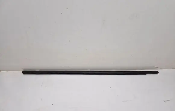 Nissan Qashqai Front door glass trim molding
