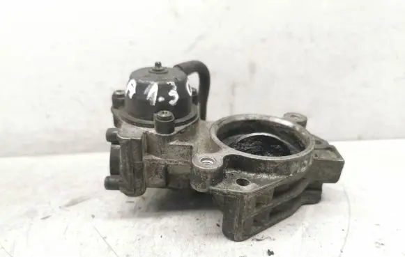 Throttle body valve