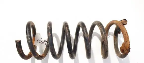 Ford S-MAX Rear coil spring