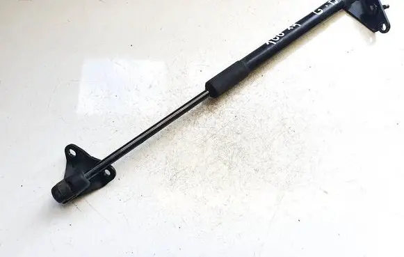 Nissan Leaf I (ZE0) Tailgate/trunk strut/damper 904503nl1a