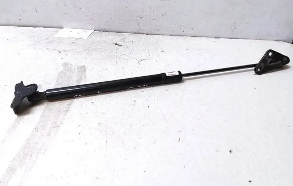 Ford B-MAX Tailgate strut AV11R406A10AB