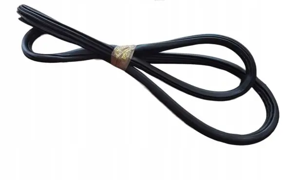 Citroen DS4 Rear door rubber seal (on body) 