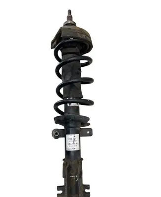 Renault Trafic III (X82) Front shock absorber with coil spring 316591 82490410620 824904010620