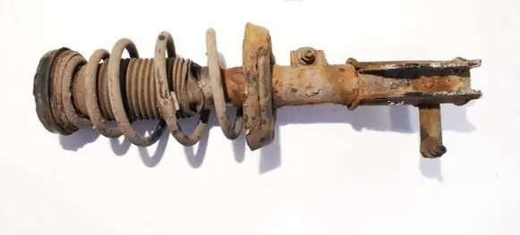 Opel Insignia A Front shock absorber/damper