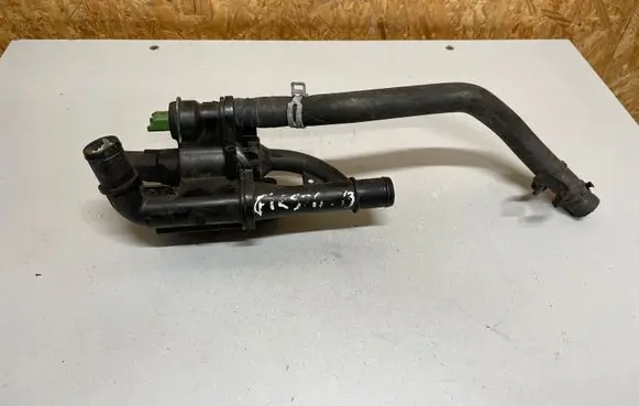 Thermostat/thermostat housing
