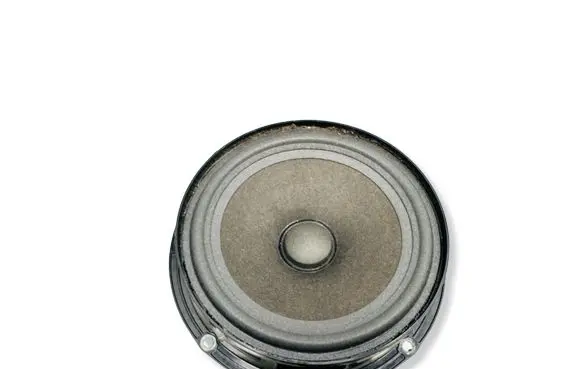Volkswagen Tiguan Rear door speaker 5N0035453C