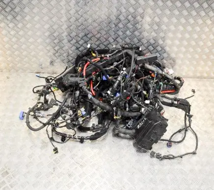Maserati Quattroporte Other wiring loom 670007399 7271381830