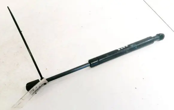 Chrysler Sebring (ST-22 - JR) Tailgate/trunk strut/damper 9153VI0415N