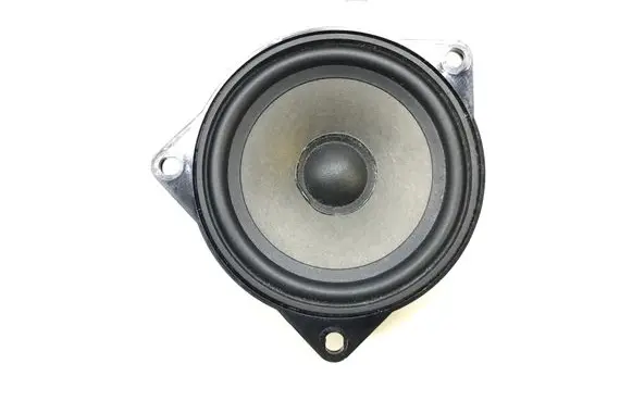 Front door high frequency speaker