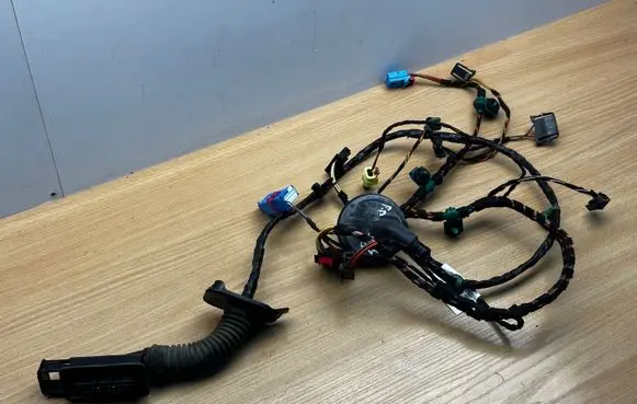 Volkswagen Golf Sportsvan Front door wiring loom 517971121BM