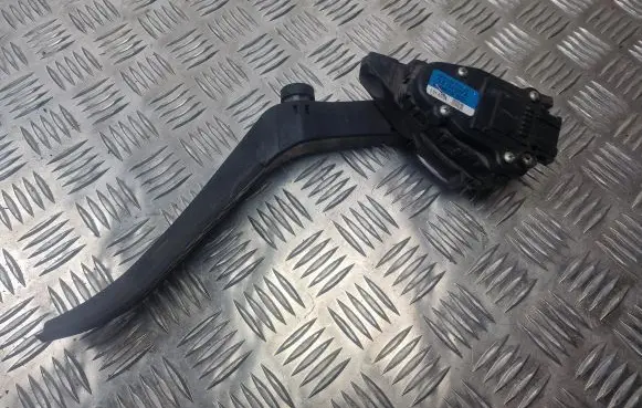 Volkswagen Touareg I Accelerator throttle pedal 7L6723507A