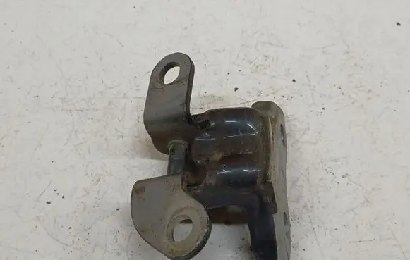 Peugeot 107 Rear door lower hinge
