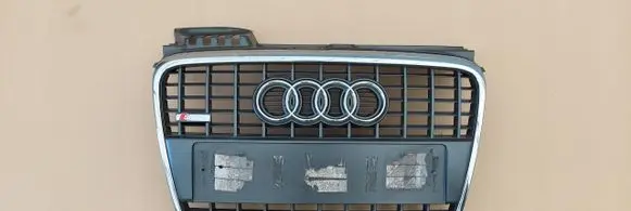 Audi A4 S4 B7 8E 8H Front bumper upper radiator grill