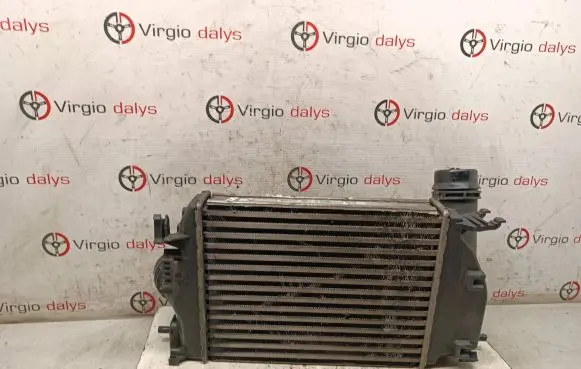 Nissan Qashqai Intercooler radiator 144614ED0A M163233
