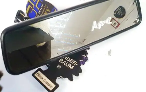 Volkswagen Golf IV Rear view mirror (interior) e10110093
