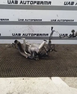 Citroen C4 II Picasso EGR valve 5056390300 3106318178