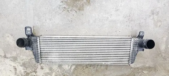 Volkswagen Multivan T5 Intercooler radiator 7E0145804