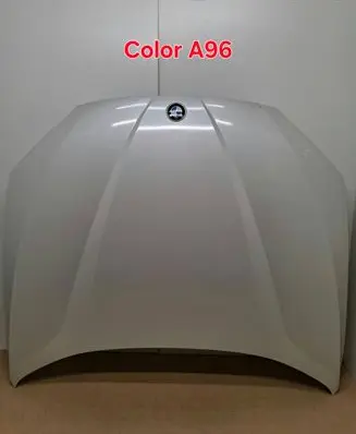 BMW X1 E84 Engine bonnet/hood