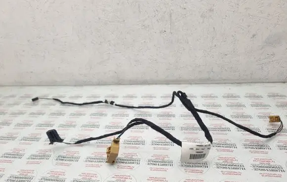 Seat Exeo (3R) Rear door wiring loom 3R0971693