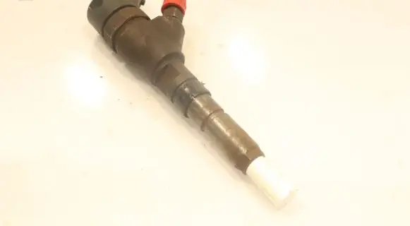 Fiat Ducato Fuel injector 0445110044