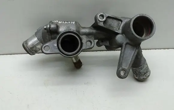 Thermostat/thermostat housing