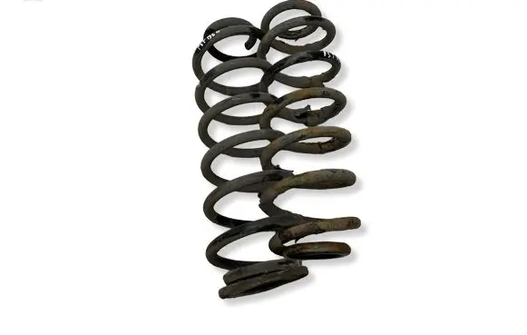 Volkswagen PASSAT B6 Rear coil spring 