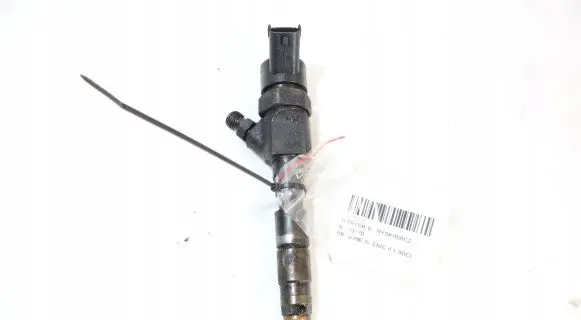 Renault Megane II Fuel injector 0445110110B