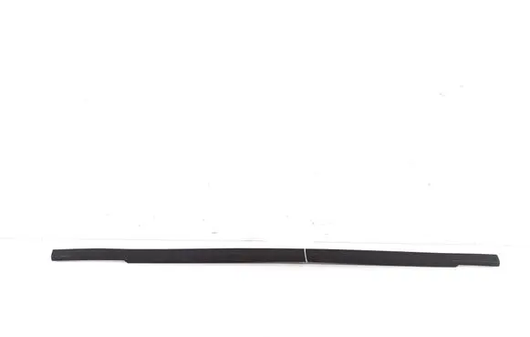 Dodge Journey Rear door trim (molding) 05076859AC