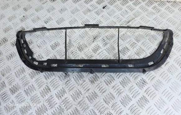 Front bumper lower grill