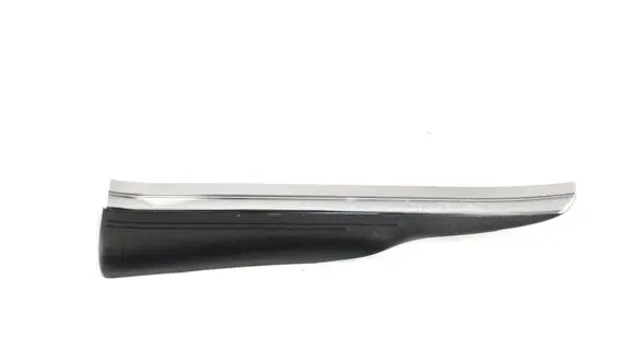 Mercedes-Benz CLS C219 Rear sill trim cover A2196800835