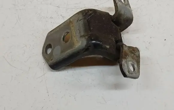 Mazda 3 II Rear door lower hinge